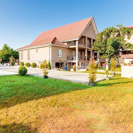 Casa Iulia 호텔 Haţeg 외부 사진