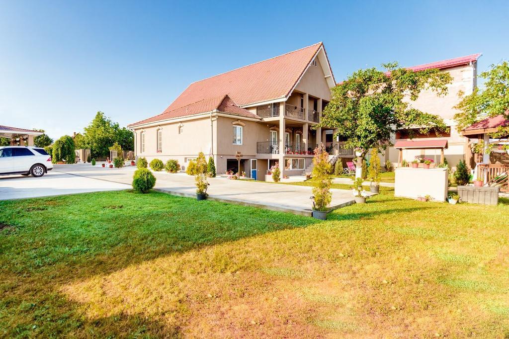 Casa Iulia 호텔 Haţeg 외부 사진